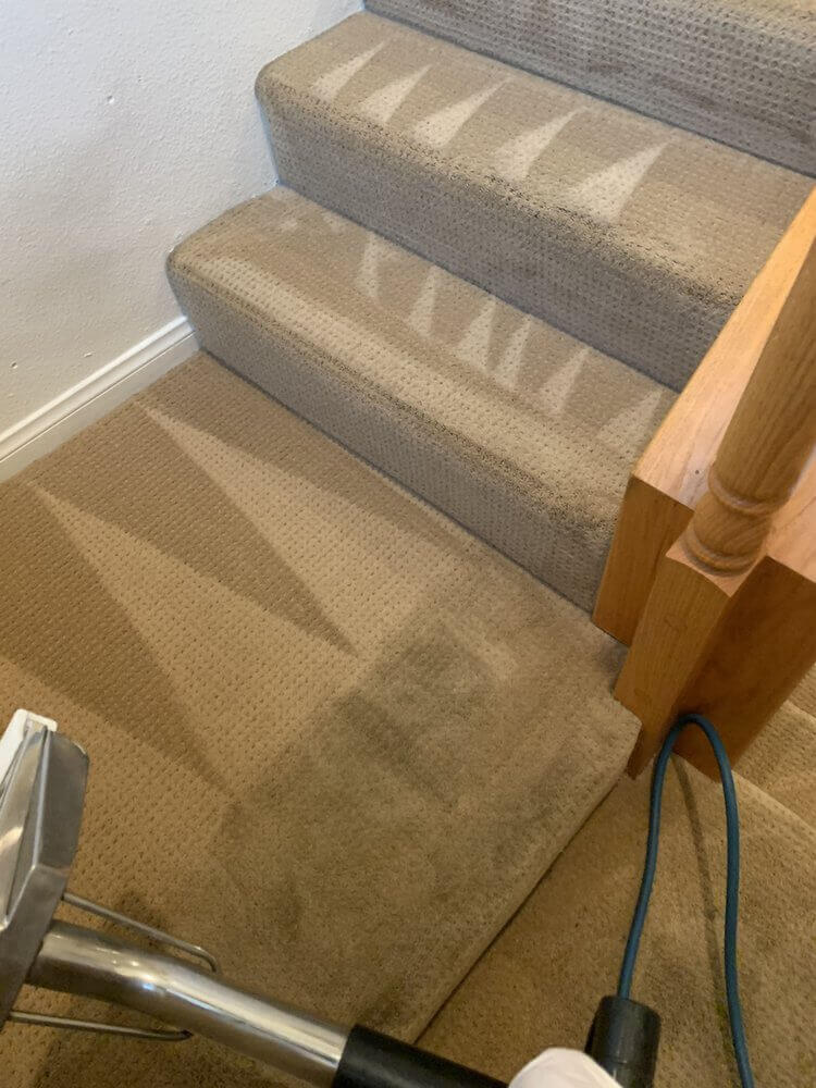 Reliable carpet cleaning in Meridian, ID. Give us a call today for a free quote!