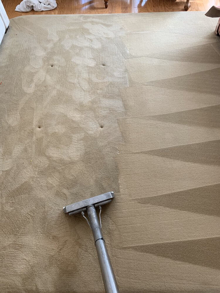 Carpet cleaning in Meridian, ID. Give us a call today for a free quote!