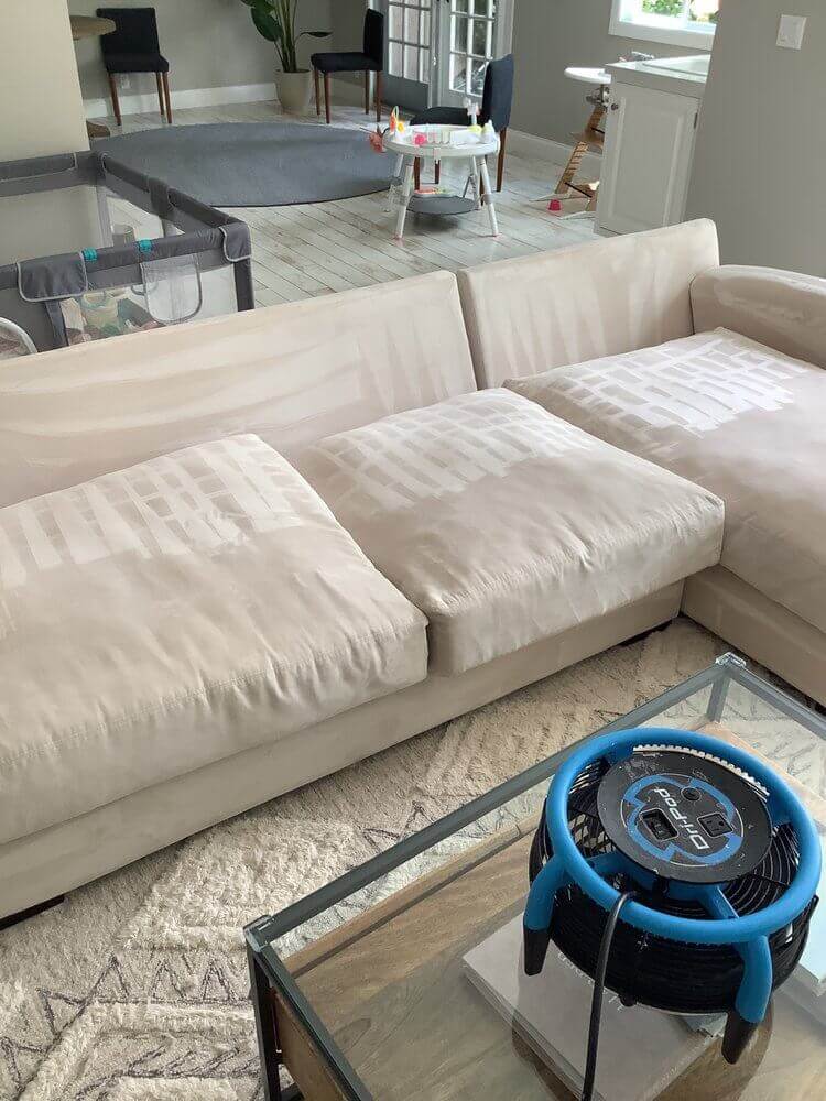 Upholstery cleaning in Meridian, Boise and the greater Treasure Valley. Give us a call today for a free quote!